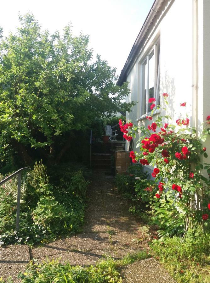 Ferienhaus Baederleiblick 巴特埃姆斯 外观 照片